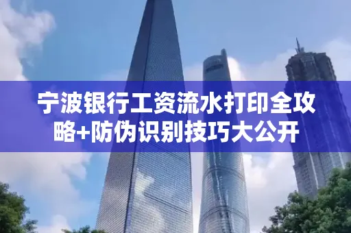 宁波银行工资流水打印全攻略+防伪识别技巧大公开
