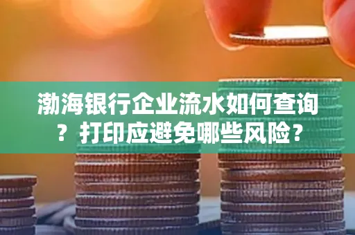 渤海银行企业流水如何查询？打印应避免哪些风险？