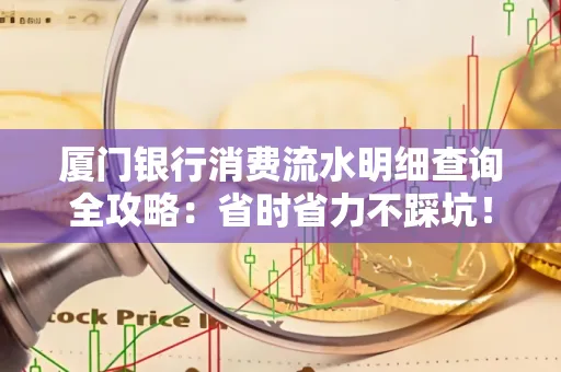 厦门银行消费流水明细查询全攻略：省时省力不踩坑！