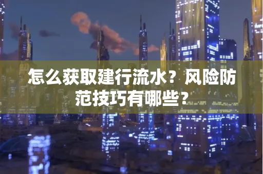 怎么获取建行流水？风险防范技巧有哪些？