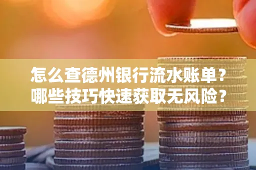 怎么查德州银行流水账单？哪些技巧快速获取无风险？