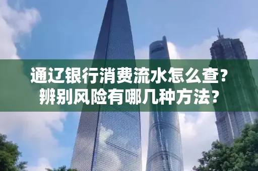 通辽银行消费流水怎么查？辨别风险有哪几种方法？