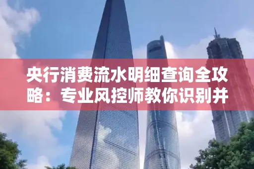 央行消费流水明细查询全攻略：专业风控师教你识别并规避用卡风险！
