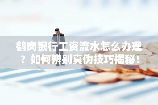 鹤岗银行工资流水怎么办理？如何辨别真伪技巧揭秘！