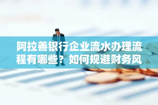 阿拉善银行企业流水办理流程有哪些？如何规避财务风险提升效率？